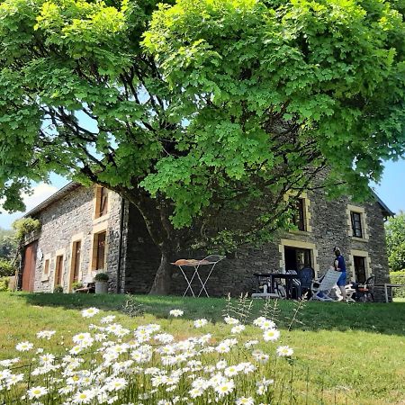 La Maison Des Marguerites Vresse-sur-Semois Zewnętrze zdjęcie