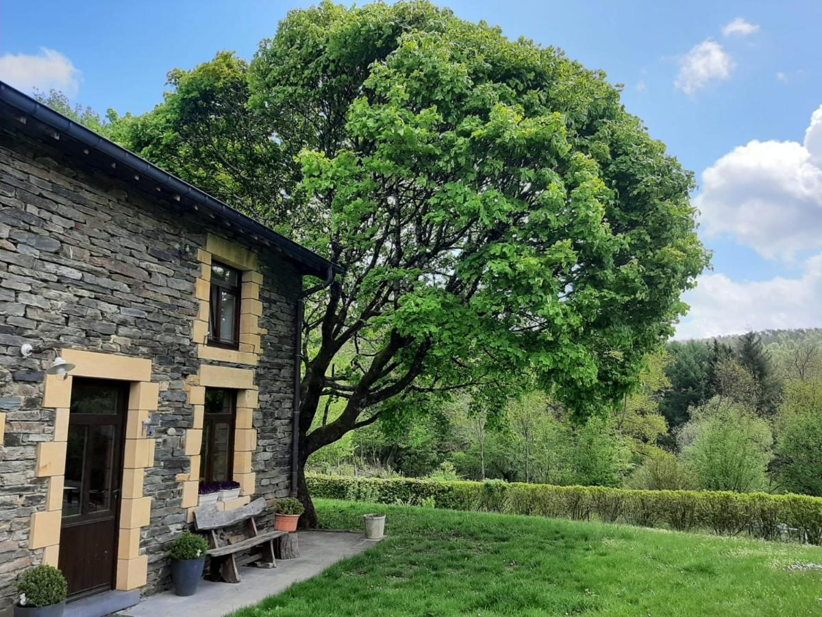 La Maison Des Marguerites Vresse-sur-Semois Zewnętrze zdjęcie