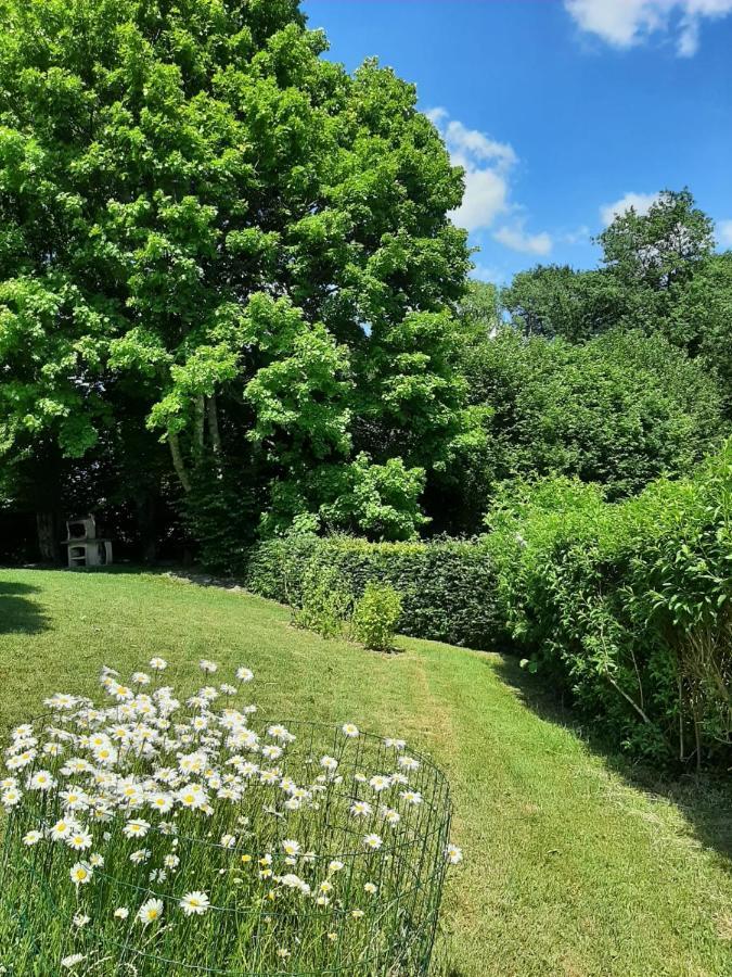 La Maison Des Marguerites Vresse-sur-Semois Zewnętrze zdjęcie