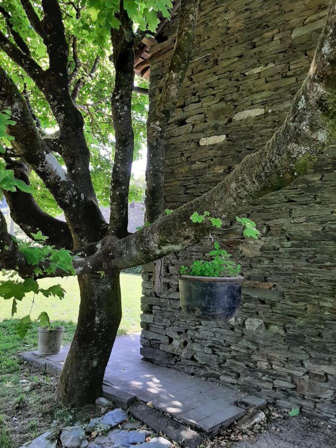 La Maison Des Marguerites Vresse-sur-Semois Zewnętrze zdjęcie