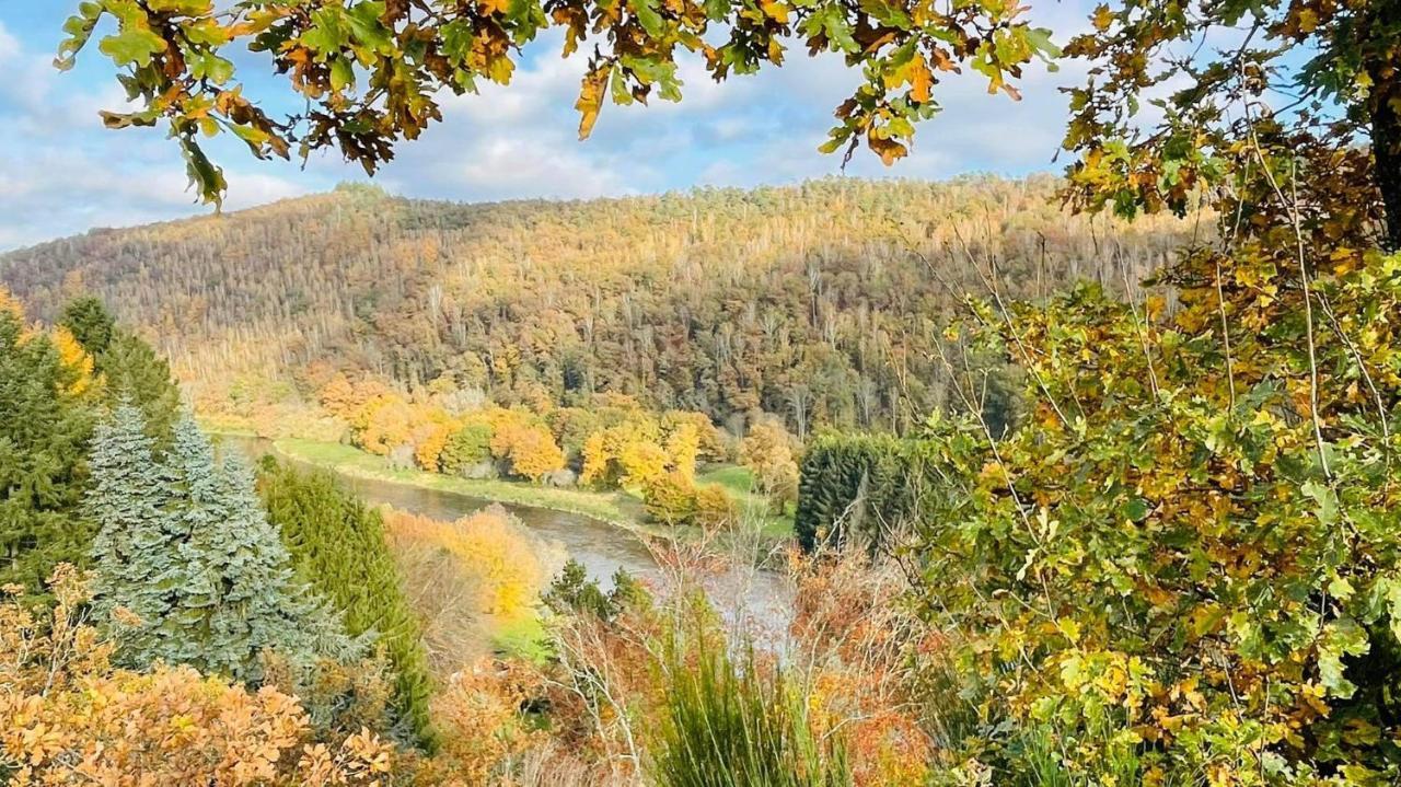 La Maison Des Marguerites Vresse-sur-Semois Zewnętrze zdjęcie