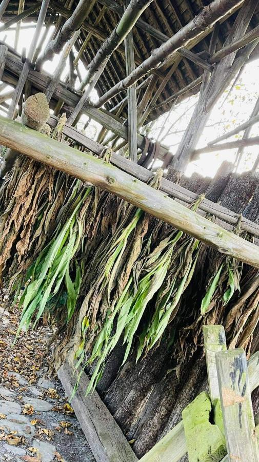 La Maison Des Marguerites Vresse-sur-Semois Zewnętrze zdjęcie