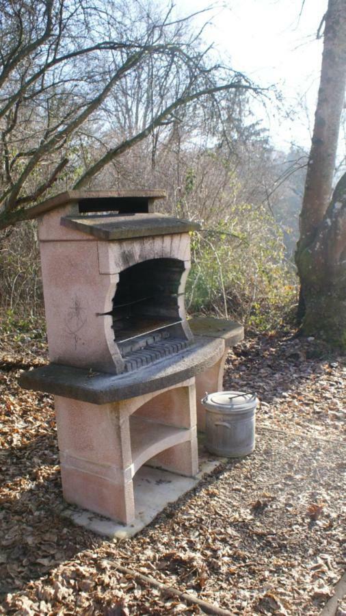 La Maison Des Marguerites Vresse-sur-Semois Zewnętrze zdjęcie